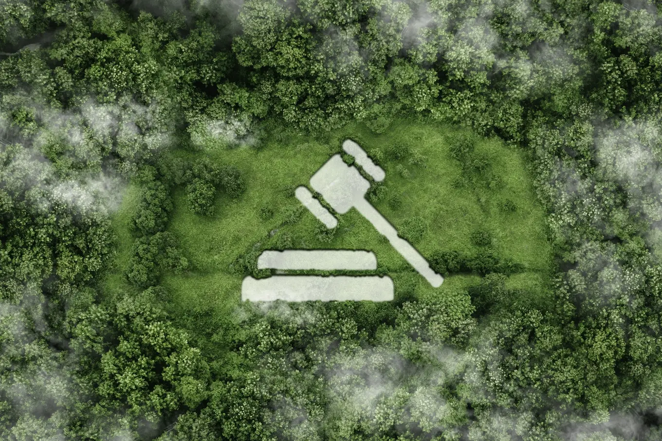młotek sędziowski na tle lasów i łąk